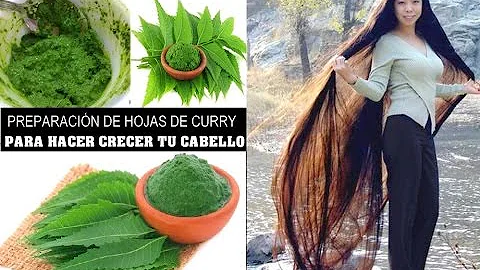 ¿Cómo se utilizan las hojas de neem en el cabello?