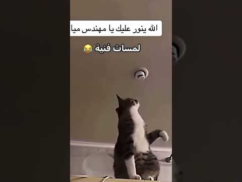المسافات فنية