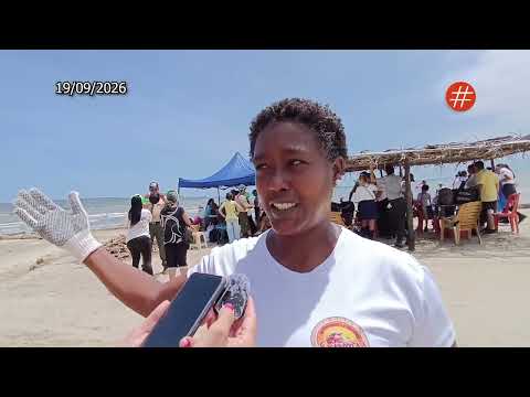 Plastics and sticks are the most common waste on Playa Valle Seco: Diana Arteaga reports