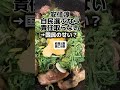 安住「自民選ぶなら責任取らない」→国民のせい？