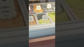 Scoops of Joy Await You!