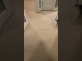 What is happnin #cooking #toes #fun #makethisgoviral #fakejump #funny #makethisviral