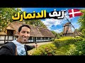 جولة في مدينة Odense الدنمارك  mp3