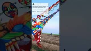 story'WA layangan naga nacha