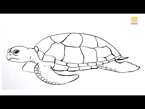 How to draw A Tortoise II Turtle drawing Easy II  part 01 II #artjanag