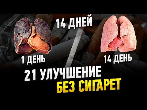 21 Улучшение Без Сигарет За 14 Дней