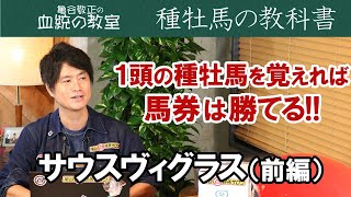 【種牡馬の教科書】サウスヴィグラスを解説(前編)/亀谷敬正