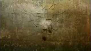 XWE wall break
