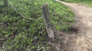 ‘Monstrous’ fence erected at Thornton State Beach to be dismantled