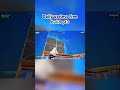 Follow the TikTok NotGinjx #fortnite #freebuildfortnite