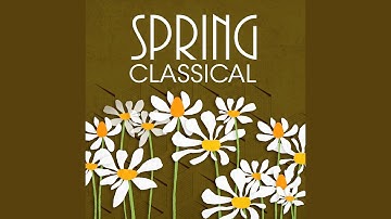 The Four Seasons, Violin Concerto in E Major, Op. 8 No. 1 'Spring': I. Allegro