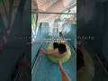 WER WÜRDE SICH DA DRAUF TRAUEN??? #wasserrutsche #waterslide #rutsche #slide #entertainment