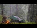 Camping in a thunderstorm  heavy rain thunder