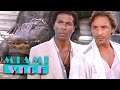 Chain The Alligator Down | Miami Vice