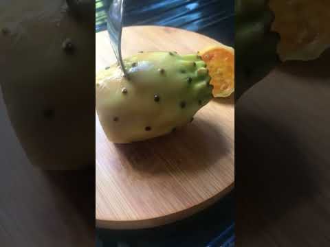 طريقة تقشير التين الشوكي بسهولة دون لمسه