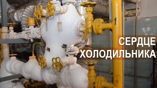 Сердце холодильной установки на 700 тонн мяса. КФХ Тюриков