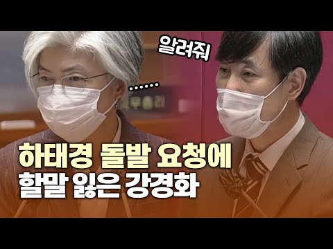 강경화 할말 잃게 한 하태경의 요청 I 국회 대정부질문 (외교·통일·안보 분야)