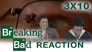 breaking bad 3x10