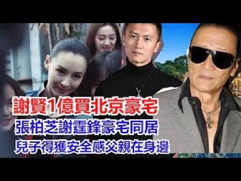 謝賢撥1億買下北京別墅，張柏芝謝霆鋒豪宅同居，兒子得獲安全感父親在身邊，王菲難過不食飯 #謝賢#謝霆鋒#王菲#張柏芝#三胎