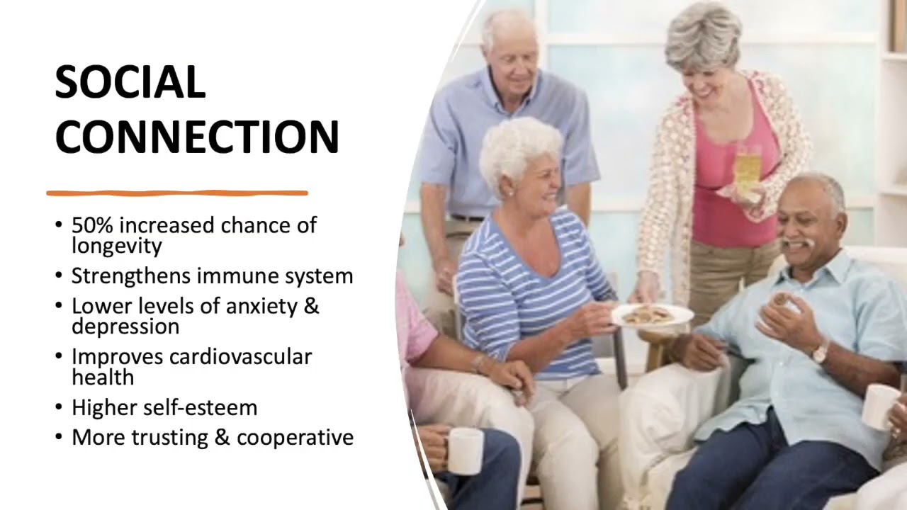 Love, connection and the brain