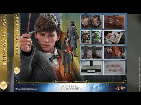 hot toys newt scamander