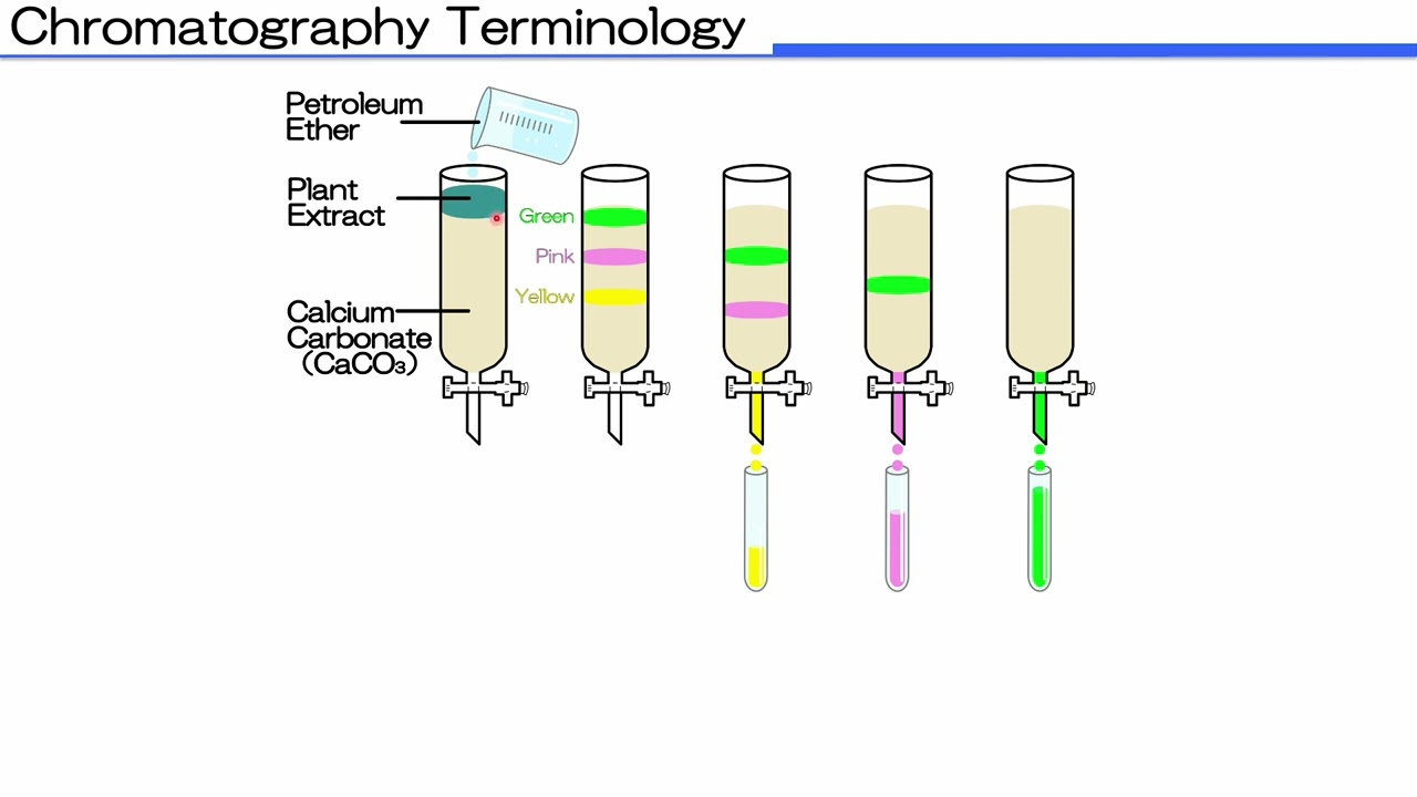 3. Basics of Canister Gas Chromatography/Mass Spectrometry (GC/MS) Analysis for VOCs Monitoring