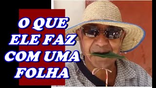 Download Lagu O QUE O ZÉ FAZ COM UMA FOLHA NA BOCA? MUSICO ZÉ DA FOLHA Download Lagu O QUE O ZÉ FAZ COM UMA FOLHA NA BOCA? MUSICO ZÉ DA FOLHA
