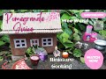 Homely Pomegranate Juice | Miniature cooking | Wee World | Tiny foods