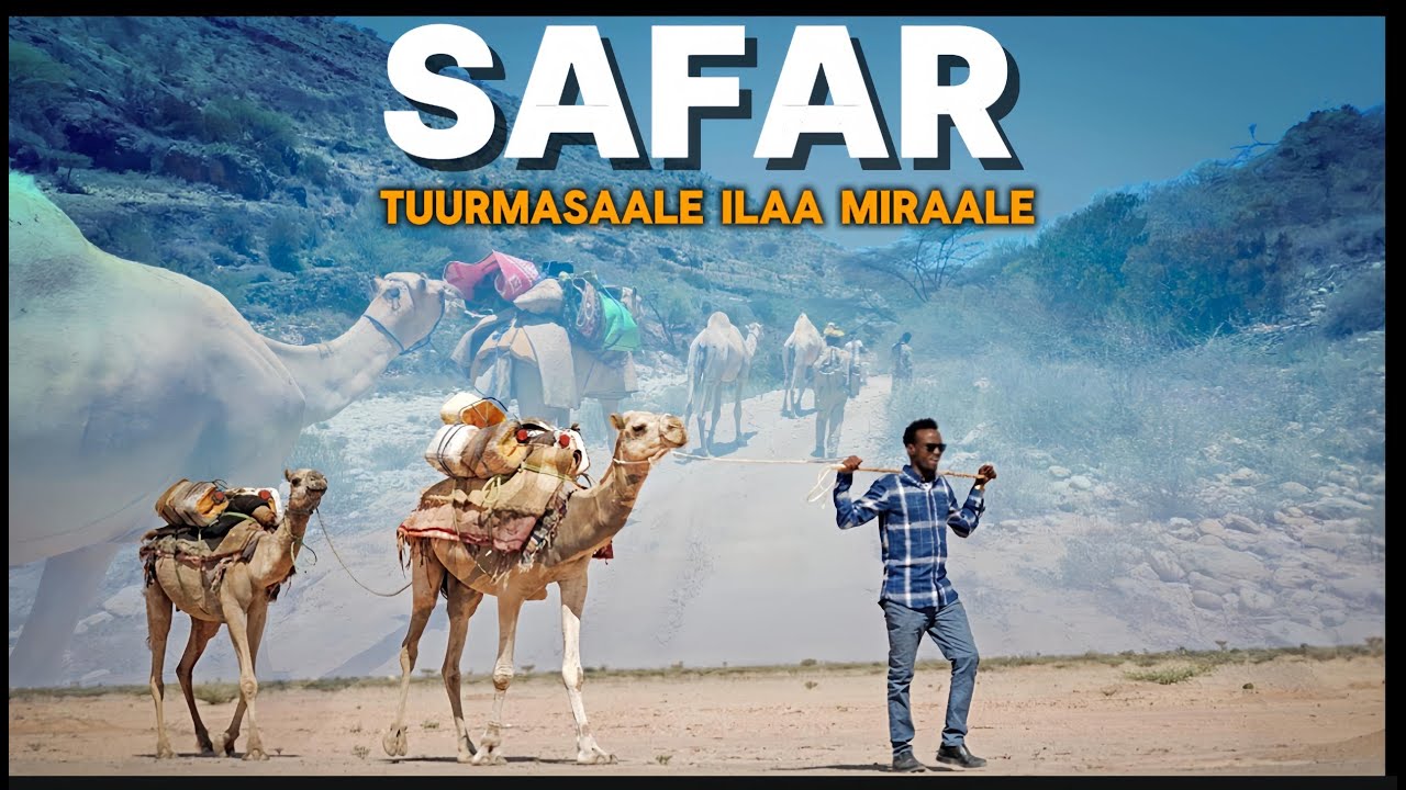 HORMADII 3AAD SAFARKA CALMISKAAD | TURMASAALE ILAA MIRAALE