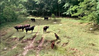 Day 3: Natchez Trace National Scenic Trail Thru-Hike