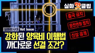 [실화탐사대] 강화된 양육비 이행법, MBC 211106 방송