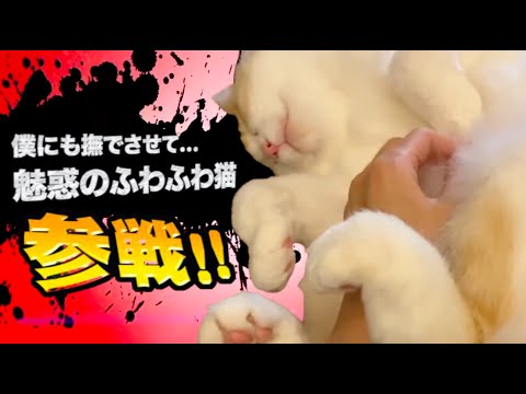 ヤバ過ぎネッコ全員参戦！！part90
