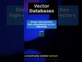 What You Need to Know About Vector Databases #Shorts