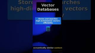 What You Need to Know About Vector Databases #Shorts