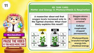 Matter & Energy in Photosynthesis & Respiration