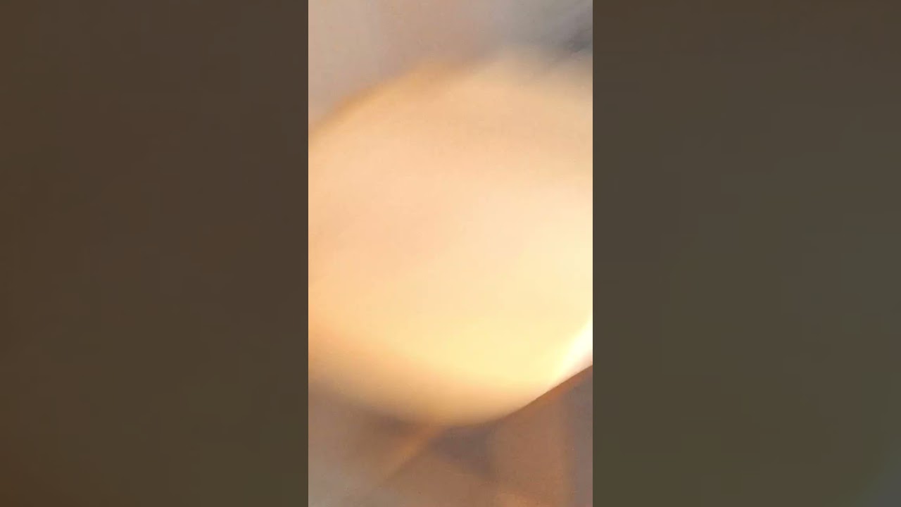 what i bought for my kitten with a limited budget. its safe for her while being lots of fun