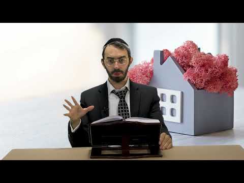 לגדל עיץ בבית בשמיטה | שואל ומשיב | הרב אשר זנזורי