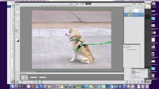 Pse13 How To Create A Watermark