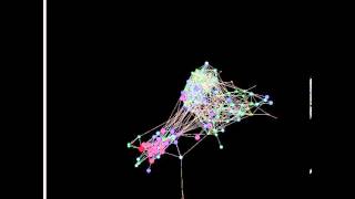 Infectious Network: Analyzed By Label Clique Percolation