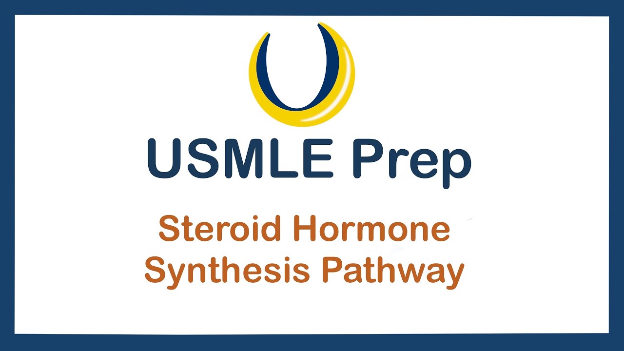 USMLE First Aid Follow Along- Steroid Hormone Synthesis Pathways - YouTube