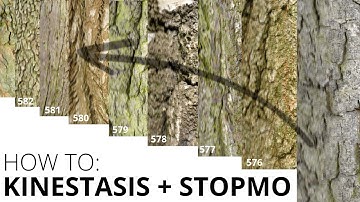 HOW TO: Kinestasis stopmotion (like Kevin & Paraic McGloughlin)