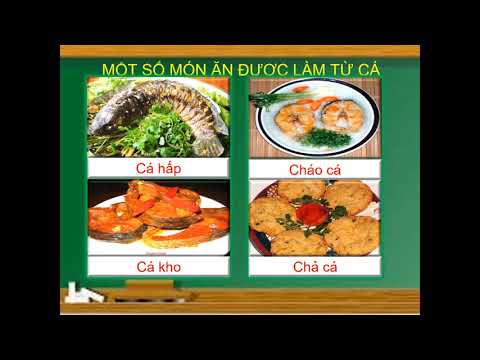 TNXH 1: Con vật quanh em (tiết 1)