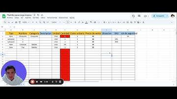 Video carga masiva diciembre 2024
