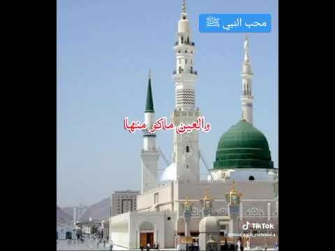 مديح ميسر الحيالي ياروحي روحي للنبي