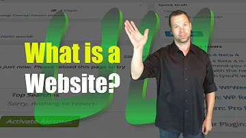 What is a website simple definition?