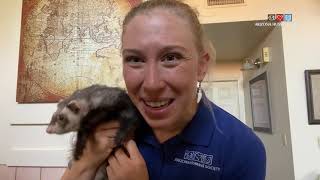 Pets on Parade: On The Road 9/19/20