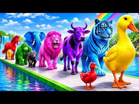 Long Slide Game with Cow Elephant Gorilla Hippopotamus Tiger 3d Animal Game Funny 3d Animals