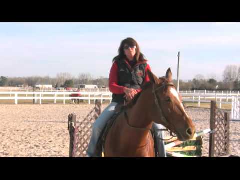 How to Train a Horse to Do a Flying Lead Change