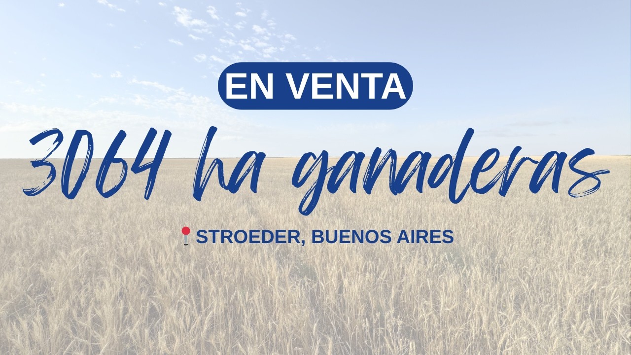 Campo en venta de 3064 ha ganaderas en Stroeder, Buenos Aires.