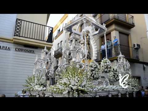 Real e Ilustre Hermandad Sacramental de la Inmaculada Concepción, Franciscana, Primitiva y Cisterciense Cofradía de Nazarenos de la Piedad de Nuestra Señora, Santísimo Cristo de la Buena Muerte, Santa María Magdalena y María Santísima de la Hiniesta Dolorosa y Gloriosa Coronada